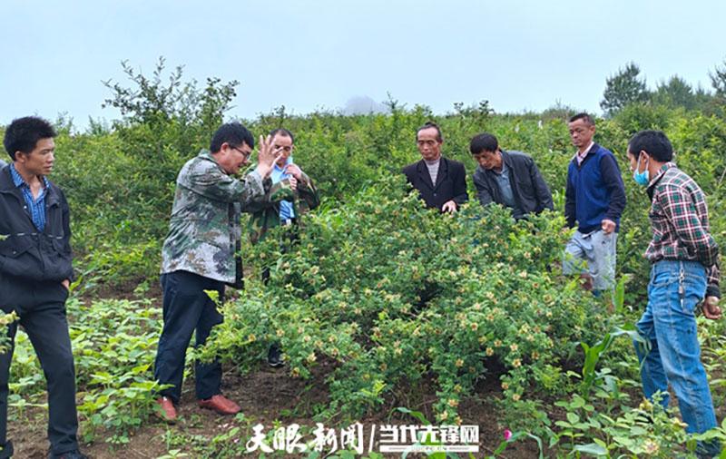 贵定在线招聘与求职，探索新时代机遇